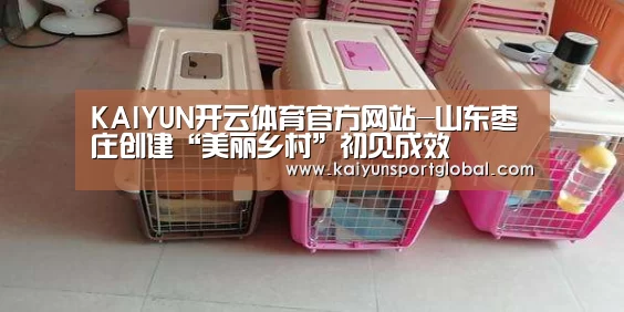 KAIYUN开云体育官方网站-山东枣庄创建“美丽乡村”初见成效(图1) kaiyu体育