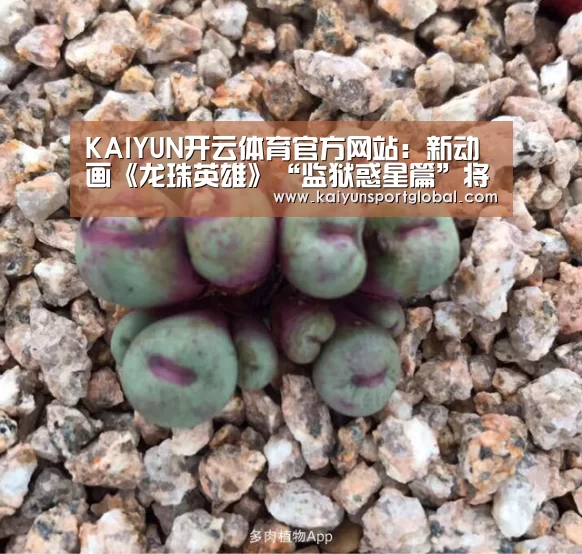 KAIYUN开云体育官方网站