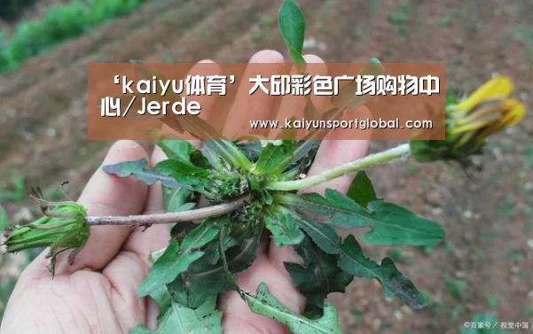 ‘kaiyu体育’大邱彩色广场购物中心/Jerde(图1) 开运体育