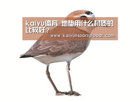 kaiyu体育_地垫用什么材质的比较好?(图1) kaiyu体育