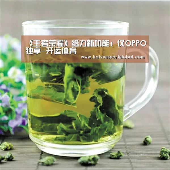 《王者荣耀》给力新功能:仅OPPO独享-开运体育(图2) kaiyu体育