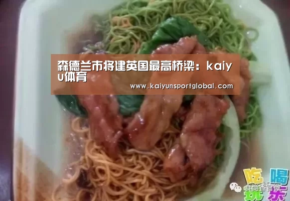 森德兰市将建英国最高桥梁:kaiyu体育(图2) KAIYUN开云体育官方网站
