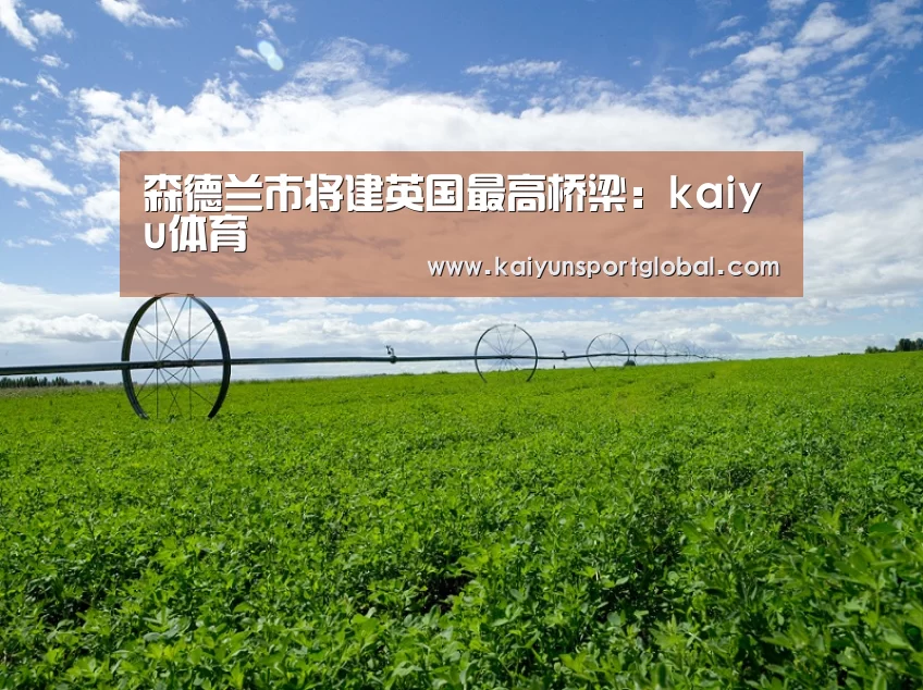 森德兰市将建英国最高桥梁:kaiyu体育(图4) KAIYUN开云体育官方网站