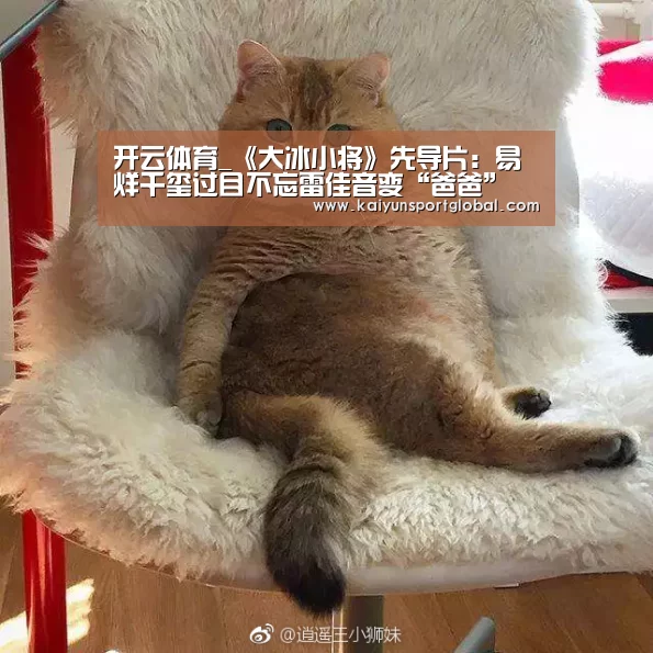 KAIYUN开云体育官方网站