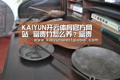KAIYUN开云体育官方网站