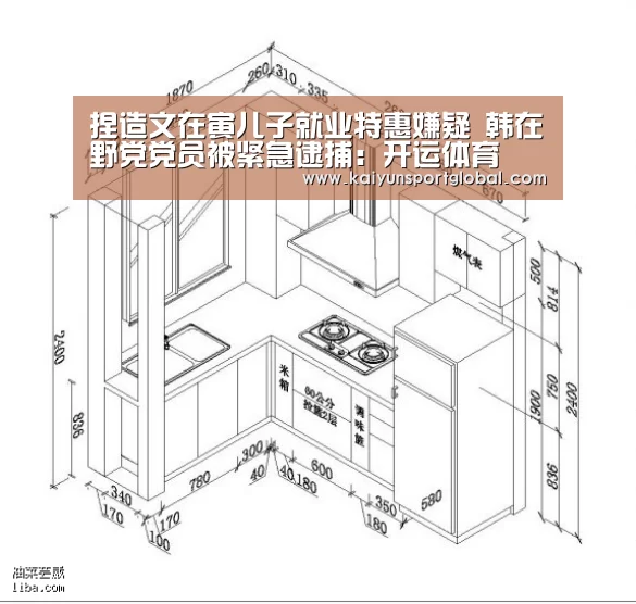 捏造文在寅儿子就业特惠嫌疑 韩在野党党员被紧急逮捕:开运体育(图1) kaiyu体育