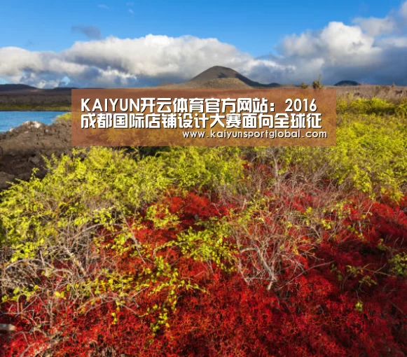 KAIYUN开云体育官方网站:2016成都国际店铺设计大赛面向全球征集作品(图1) KAIYUN开云体育官方网站