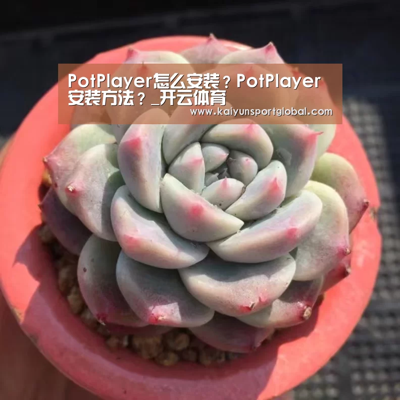kaiyu体育